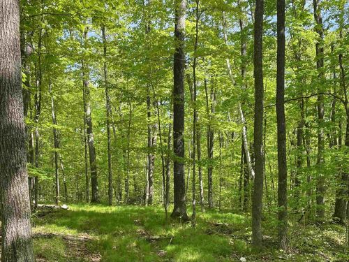 16245W Highway 27/77, Lenroot, WI, 54843 | Card Image