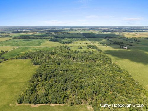 V/L Crystal Road, Hubbardston, MI, 48845 | Card Image