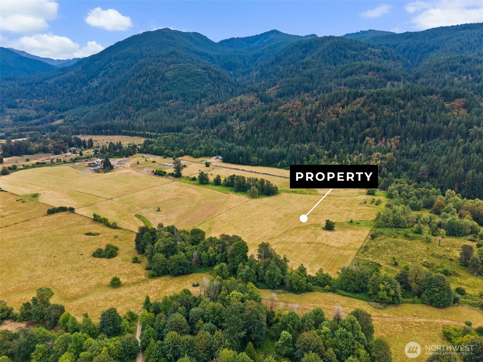 Land in Randle 5