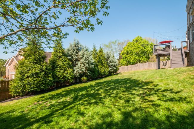 Fully fenced-in backyard with a line of mature trees for privacy | Image 41
