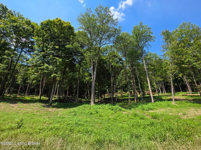 2 Cave Creek Rd, Home with 0 bedrooms, 0 bathrooms and null parking in Falls Of Rough KY | Image 7