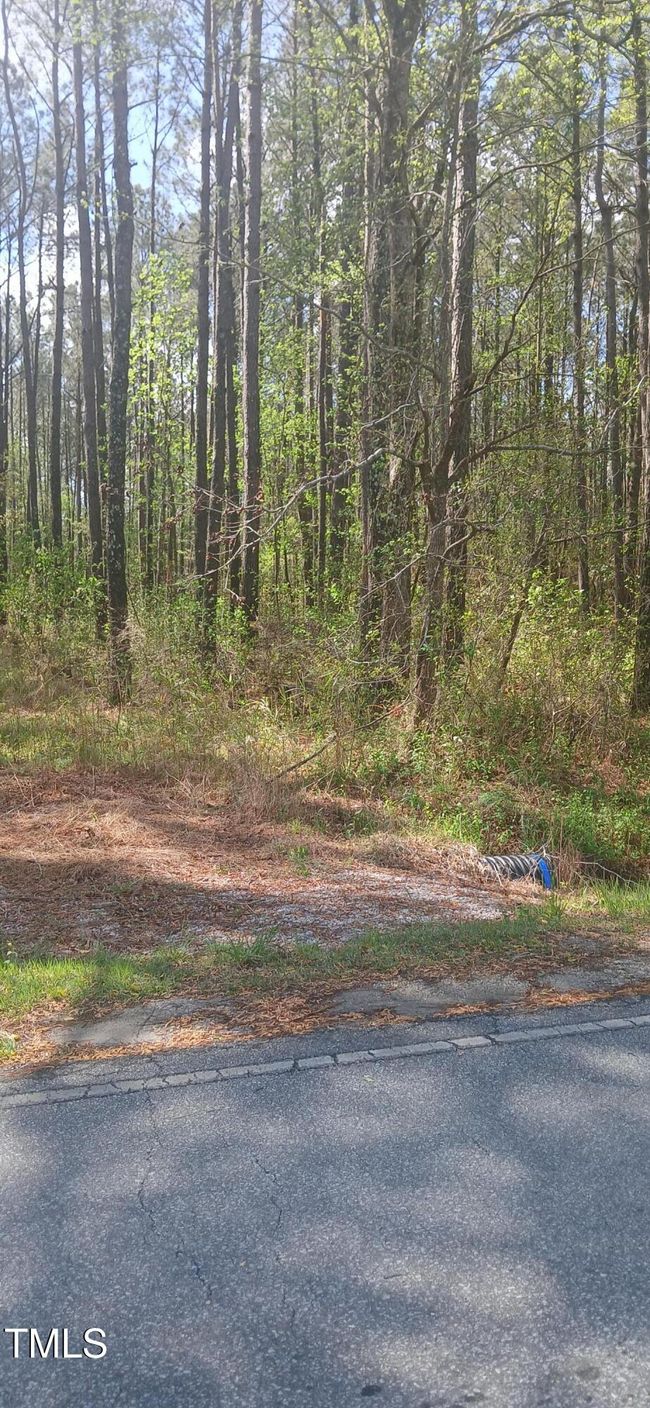 Vancant Lot | Image 4
