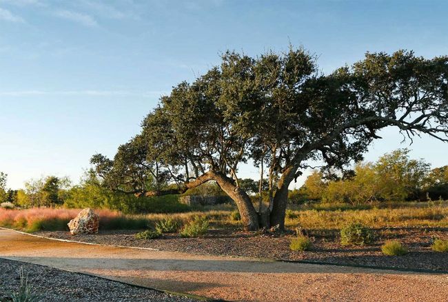 637 Hickory Bend Trl, House other with 4 bedrooms, 3 bathrooms and 2 parking in Georgetown TX | Image 5