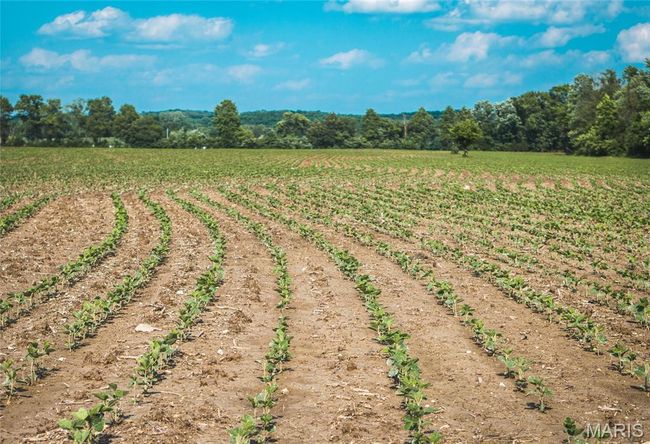 000 Shawneetown Ford Spur Tract C, Home with 0 bedrooms, 0 bathrooms and null parking in Union MO | Image 24