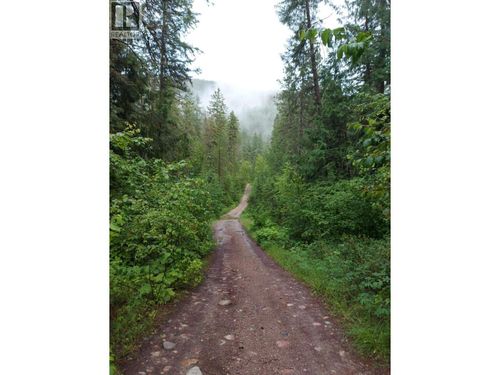 Parcel B Renata Forestry Road, Renata, BC, V1N4V8 | Card Image