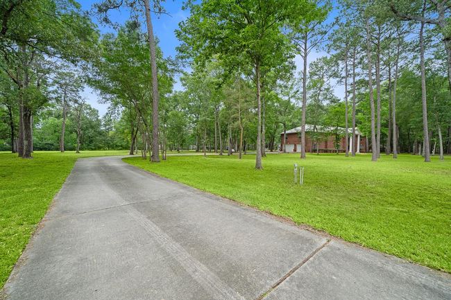Long driveway leading through a wooded area to the home | Image 38