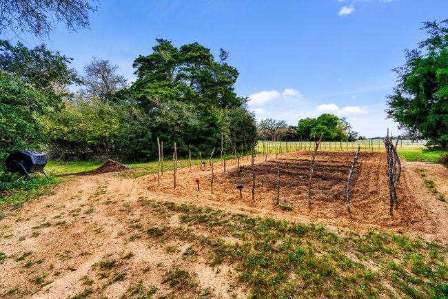 Back Garden | Image 34
