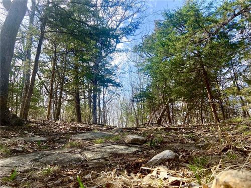 TBD Ne 779 Rd, Lowry City, MO, 64763 | Card Image