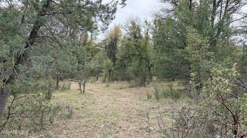 41-117 N Rifle Barrel Rd, Young, AZ, 85554-0717 | Card Image