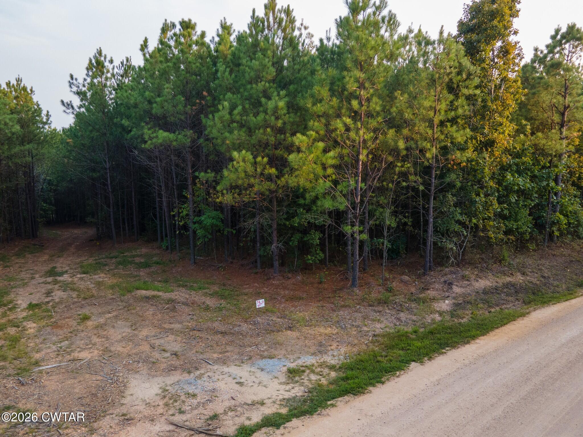 Land in Hohenwald 4