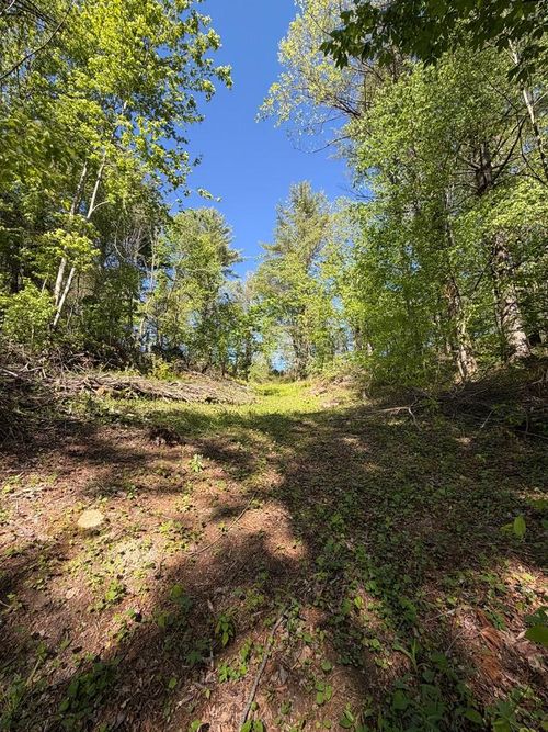 Tbd E Laurel Ave, Damascus, VA, 24236 | Card Image
