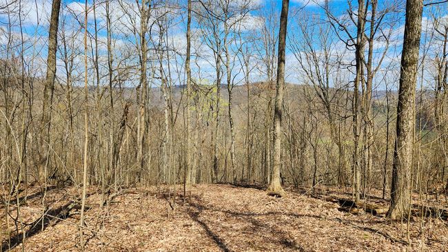 TRACT-1-PIKE-LAKE-GETAWA - 0 Pike Lake Rd, Home with 0 bedrooms, 0 bathrooms and null parking in Bainbridge OH | Image 49