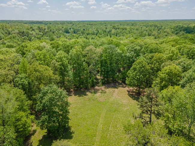 2724 She Boss Rd, House other with 2 bedrooms, 2 bathrooms and 4 parking in Duck River TN | Image 5