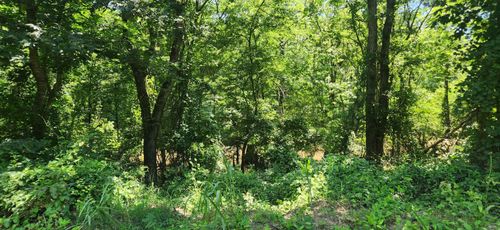 000 Bailey Rd Road, Star City, AR, 71643 | Card Image