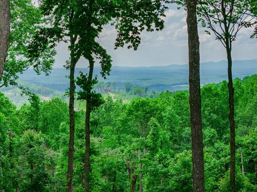 Lot 411 Calloway Mountain Road, Talking Rock, GA, 30175 | Card Image