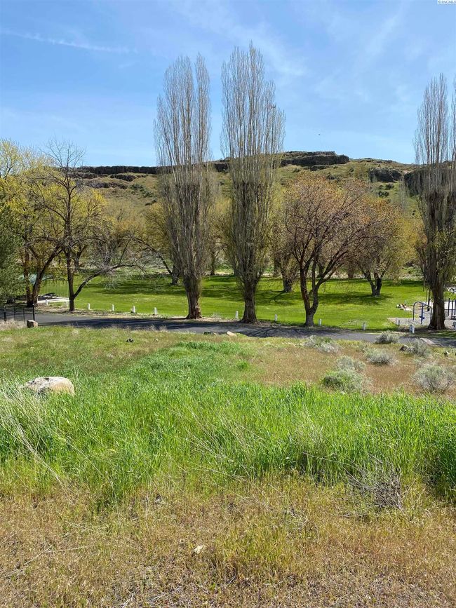 210 Caldona Ave, Home with 0 bedrooms, 0 bathrooms and null parking in Mesa WA | Image 5