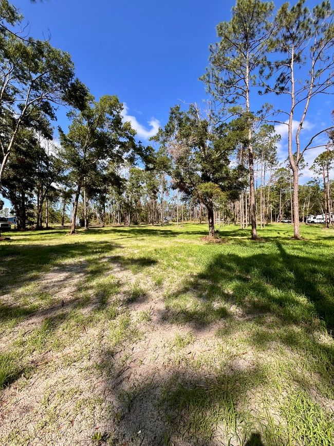0 Ne Webb Ln, Home with 0 bedrooms, 0 bathrooms and null parking in Steinhatchee FL | Image 6