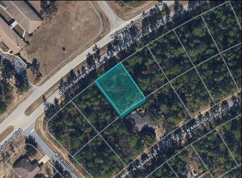 9225 N Citrus Springs Blvd, CITRUS SPRINGS, FL, 34433-4336 | Card Image
