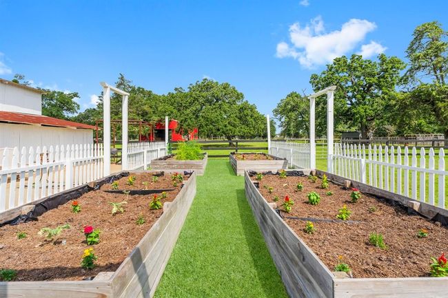 the American dream...a garden with a white picket fence around it. What would you plant? | Image 39