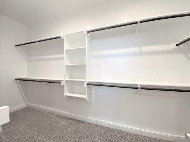 Spacious closet featuring carpet | Image 7