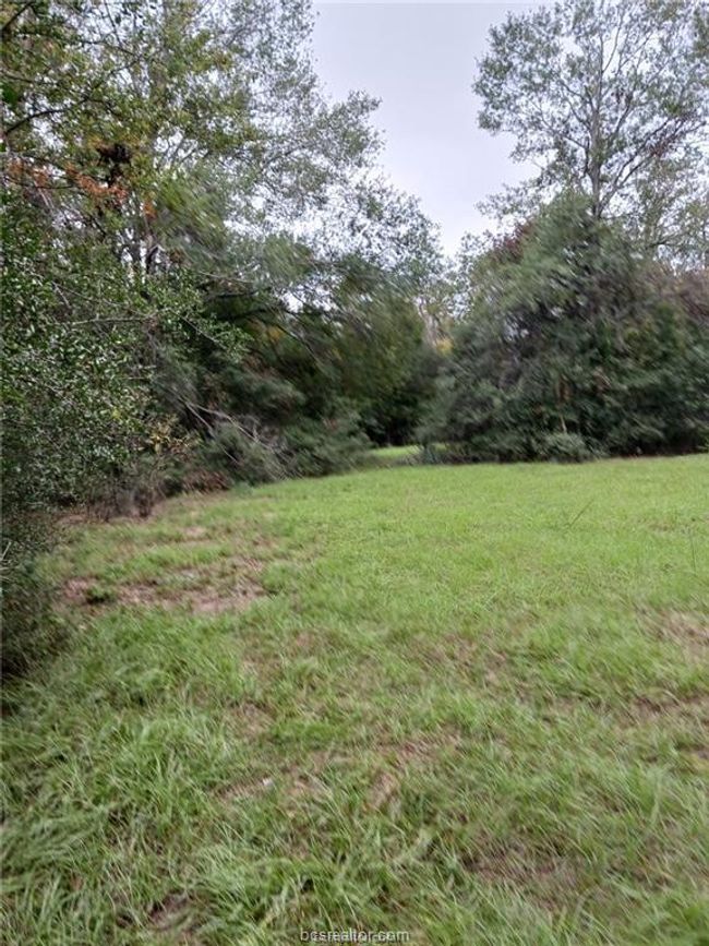 View of yard | Image 11