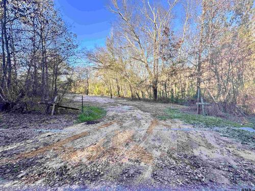 0 County Road 4302, Larue, TX, 75770 | Card Image