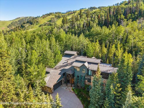 386 Pfister Dr, Aspen, CO, 81611-3041 | Card Image
