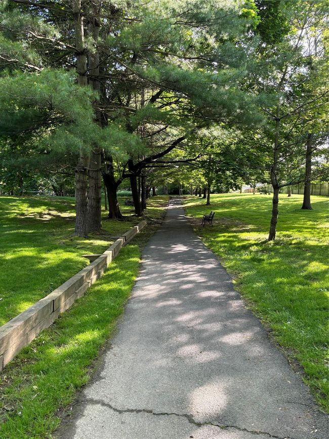 Back path is the pefect place for a walk. Dogs love it, too! | Image 29