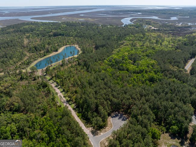 LOT 221 Clam Crk, Home with 0 bedrooms, 0 bathrooms and null parking in Waverly GA | Image 4