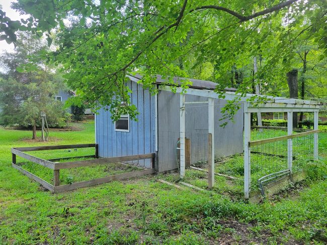 Green Shed | Image 87