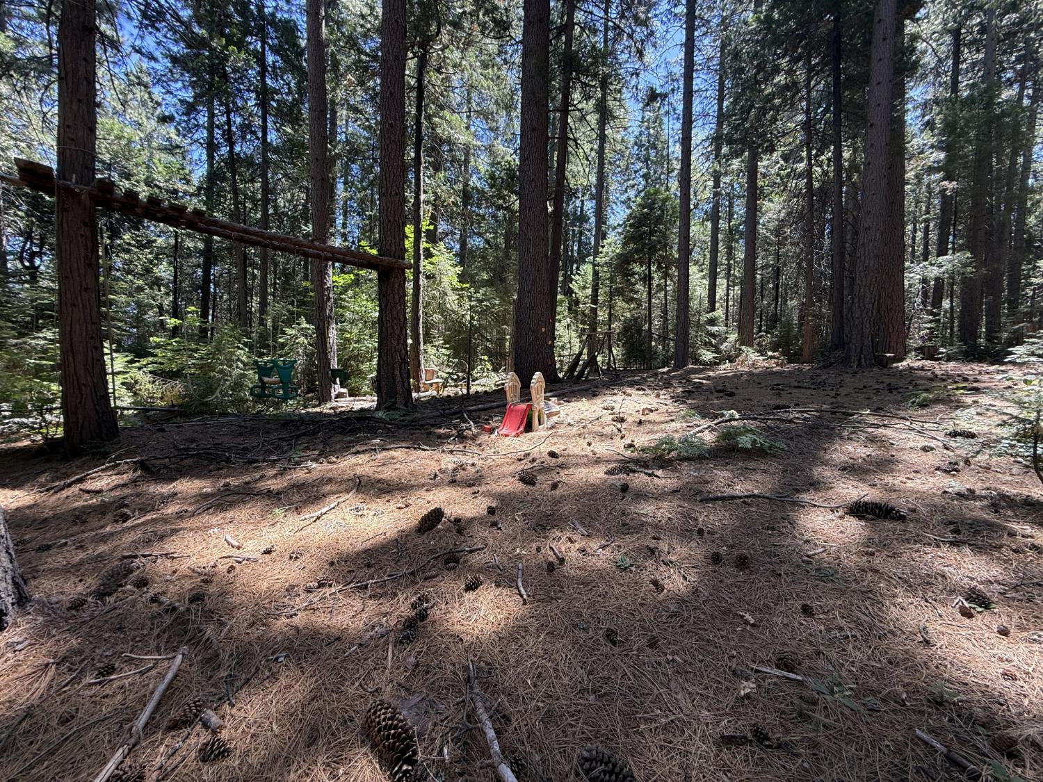 Land in Nevada City 5