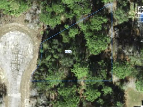 6933 N Steward Pt, Citrus Springs, FL, 34434 | Card Image