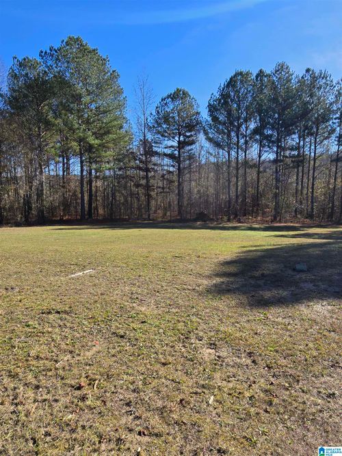 acreage-4850 Shoal Creek Road, Ashville, AL, 35953 | Card Image