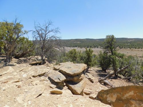 LOT 71 Alexis Road, Pie Town, NM, 87827 | Card Image