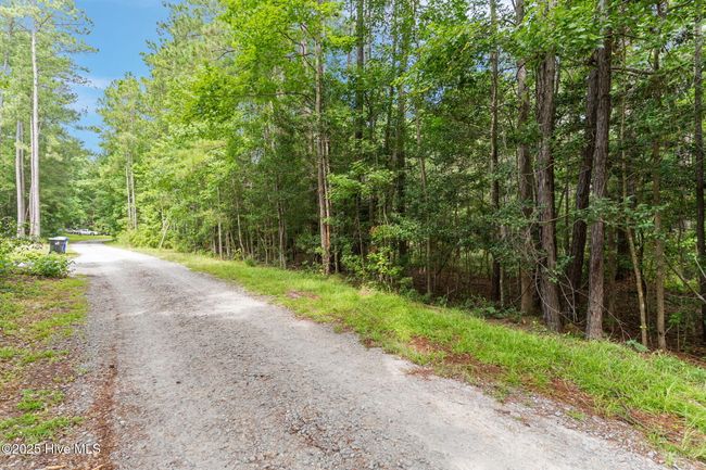 491 Argonne Rd, Home with 0 bedrooms, 0 bathrooms and null parking in Boiling Spring Lakes NC | Image 14
