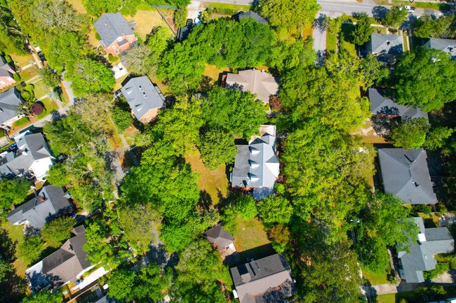 41 Berkeley -Tidalcreekphoto- (59) | Image 47