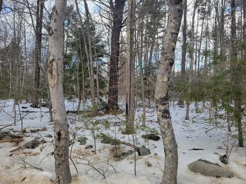 Lot 26-2 Brackett Rd, New Durham, NH, 03855-2330 | Card Image