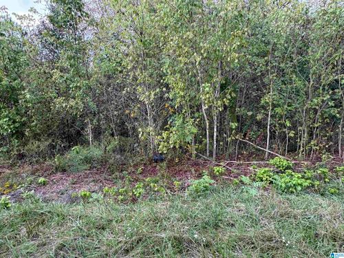 16-17-0 Lost Creek Cir, REMLAP, AL, 35133 | Card Image