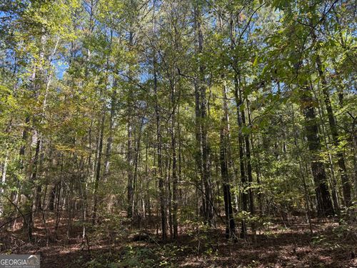 1-6.2 ACRES Acres Rd, greenville, GA, 30222 | Card Image