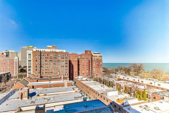 APT-1006 - 5401 S Hyde Park Blvd, Condo with 1 bedrooms, 1 bathrooms and null parking in CHICAGO IL | Image 15