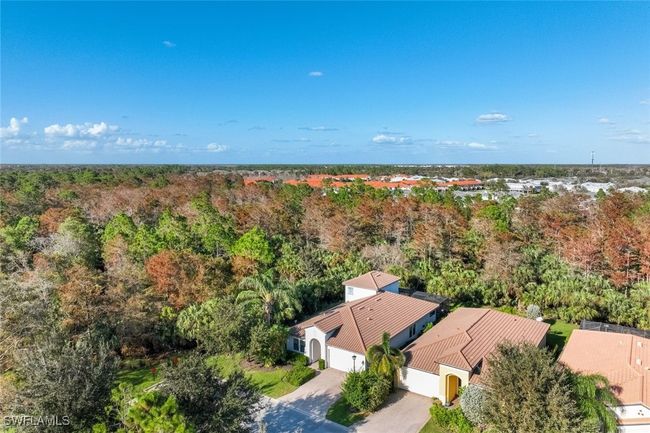 4167 Raffia Dr, House other with 4 bedrooms, 4 bathrooms and null parking in NAPLES FL | Image 27