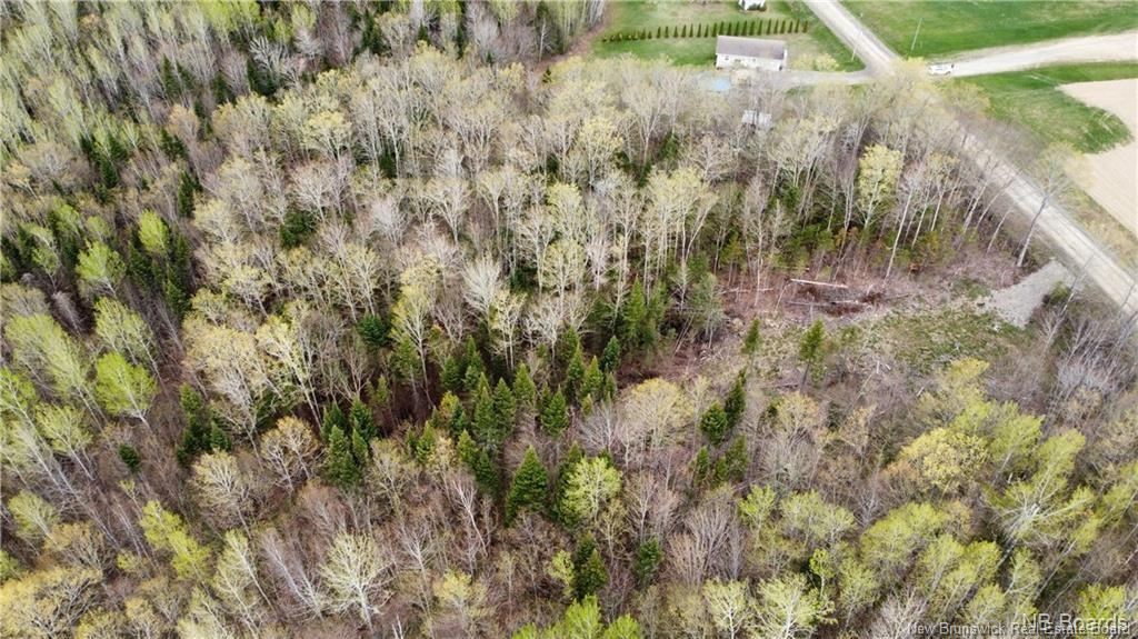 Land in Williamstown 3