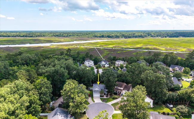 02-8320 Tyrian Path_d_Lowcountry_Exposur | Image 8