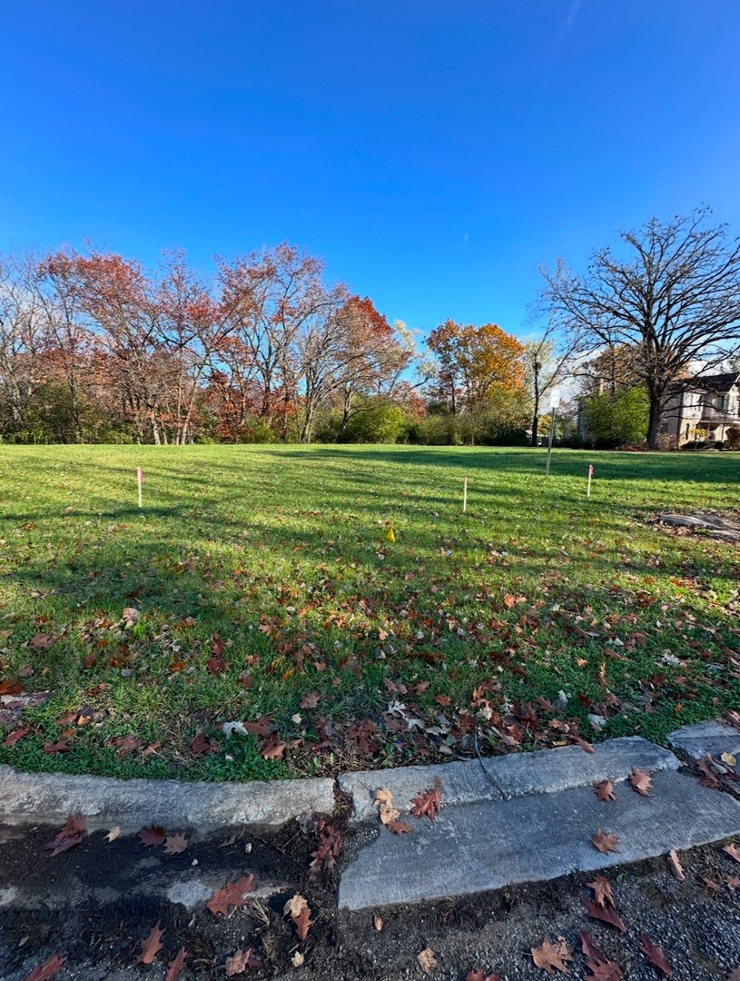 Land in Olympia Fields 3