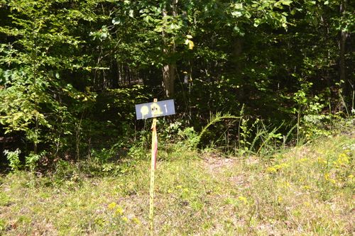 1 Rolling Mill Rd, Eddyville, KY, 42038 | Card Image