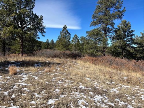 6764 Yampa Dr, Larkspur, CO, 80118 | Card Image