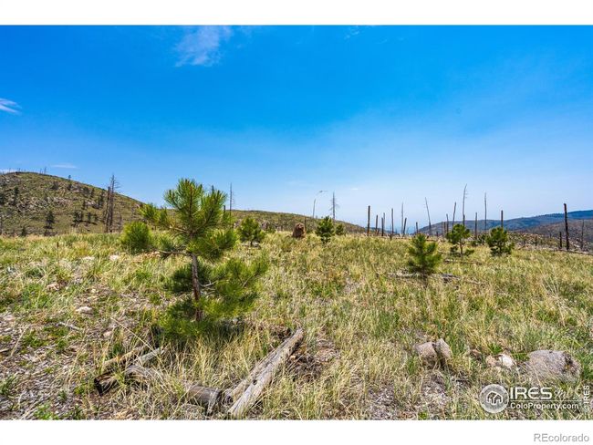 2384 Rist Creek Rd, Home with 0 bedrooms, 0 bathrooms and null parking in Bellvue CO | Image 18