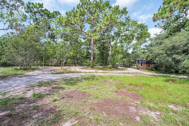 Back yard and Storage Shed | Image 27