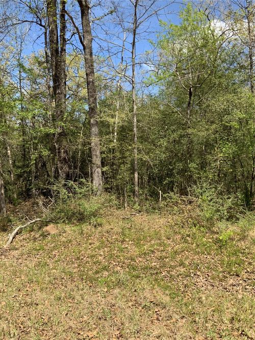 157 Foyt Dr, Livingston, TX, 77351 | Card Image