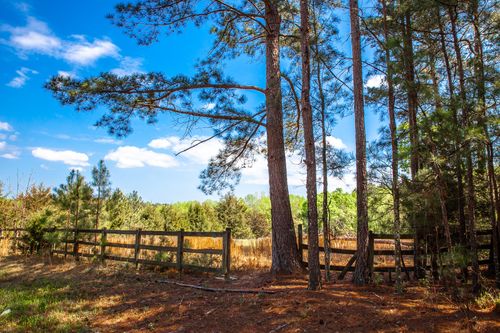 Lot 3 Smith Crawford Rd, Thomson, GA, 30824 | Card Image